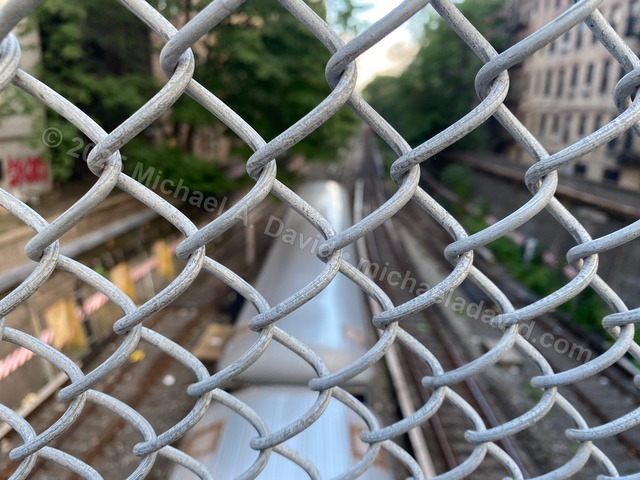 nature_Photo Aug 30, 6 24 04 PM-2021.jpg